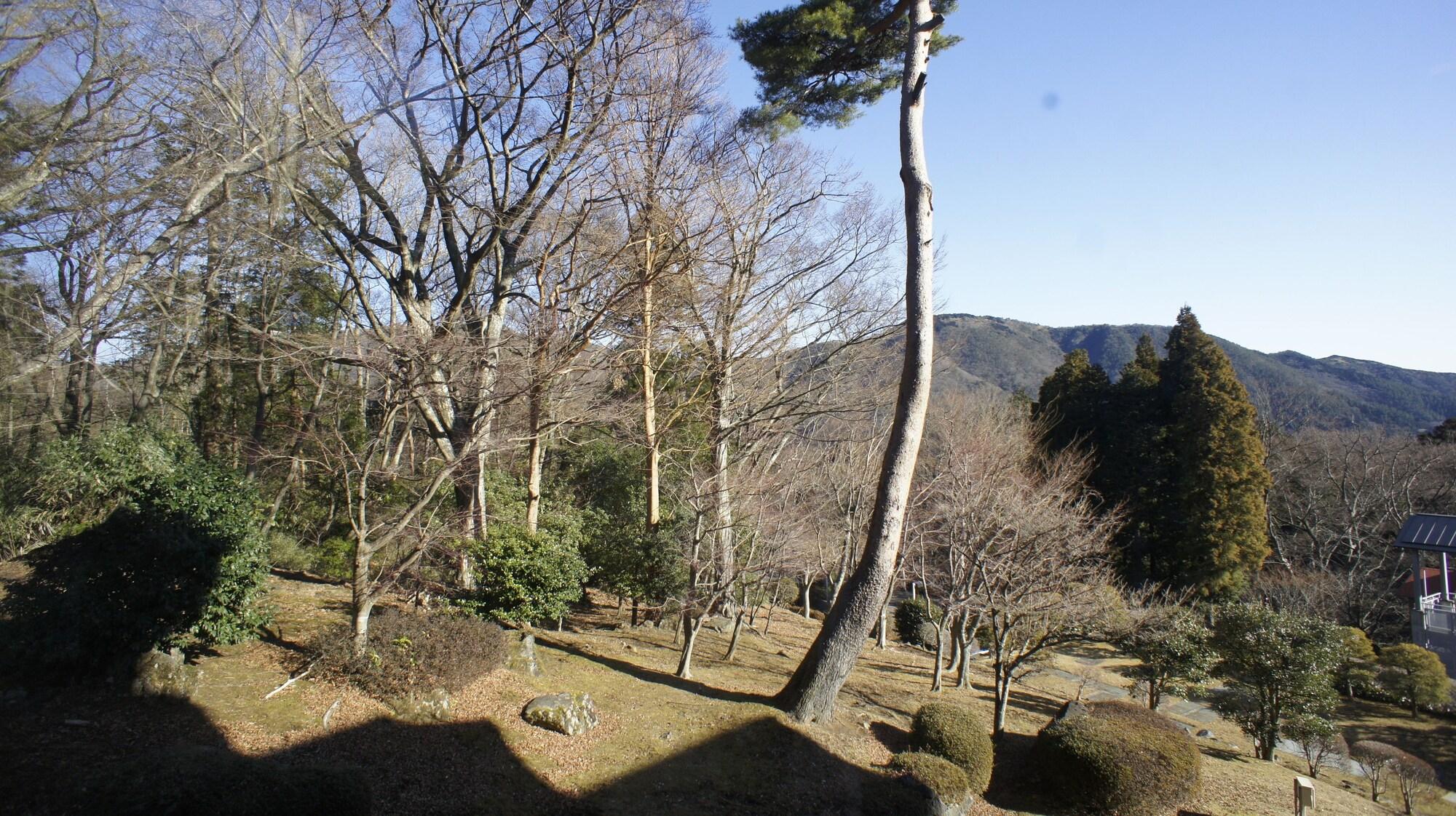 Hakone Forest Of Verde Ngoại thất bức ảnh
